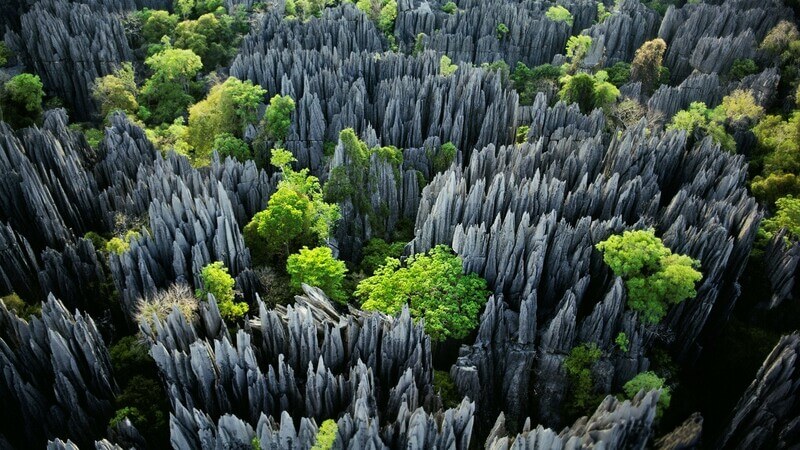 Каменный лес Цинги-дю-Бемараха, Мадагаскар